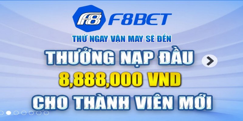 Thành viên mới với nhiều đặc quyền có “1 0 2”